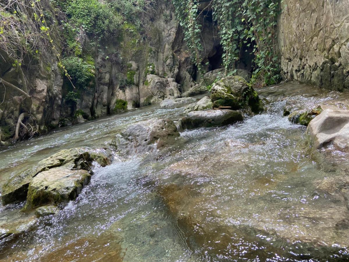 Hostal Rural De Cuadros Bedmar y Garciez Dış mekan fotoğraf