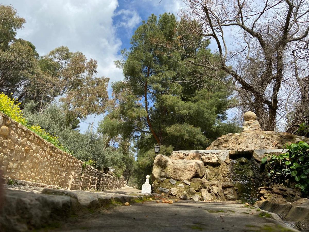 Hostal Rural De Cuadros Bedmar y Garciez Dış mekan fotoğraf
