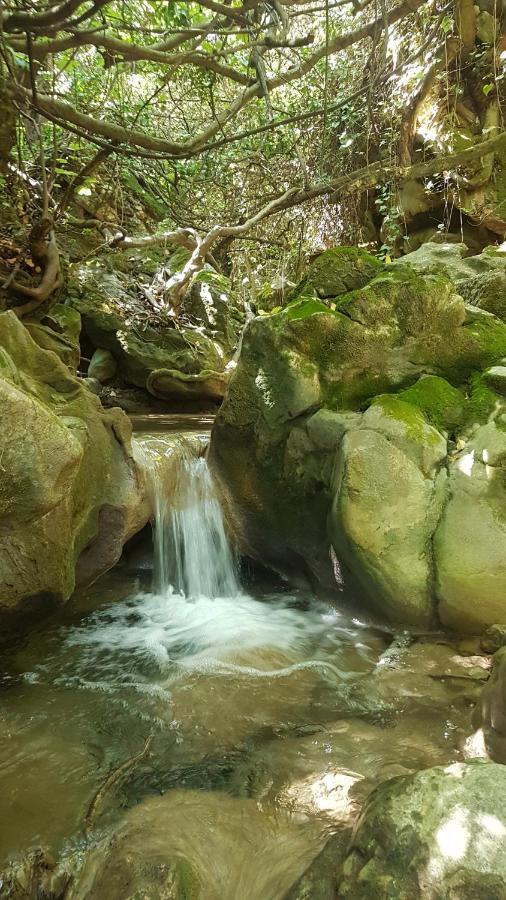 Hostal Rural De Cuadros Bedmar y Garciez Dış mekan fotoğraf
