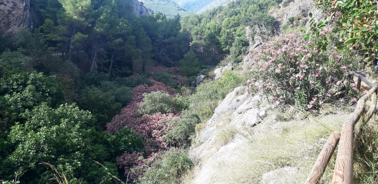 Hostal Rural De Cuadros Bedmar y Garciez Dış mekan fotoğraf