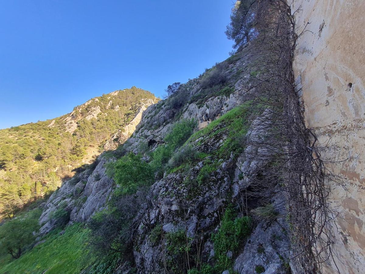 Hostal Rural De Cuadros Bedmar y Garciez Dış mekan fotoğraf